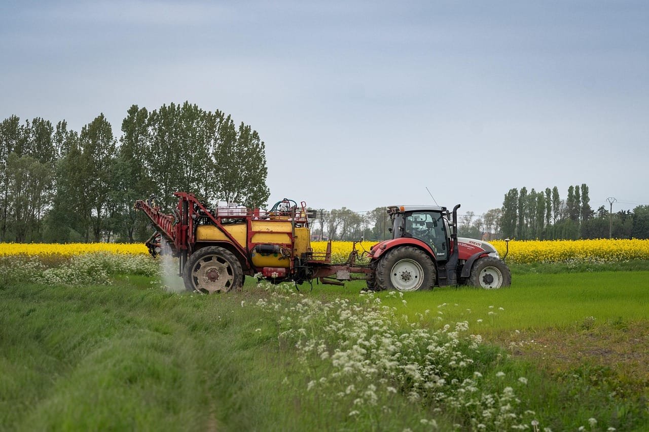 Thriving Amidst Change: How Small Farms Can Survive Climate Change