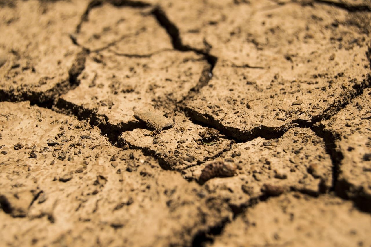 Understanding Climate Change and Soil Degradation: A Comprehensive Guide