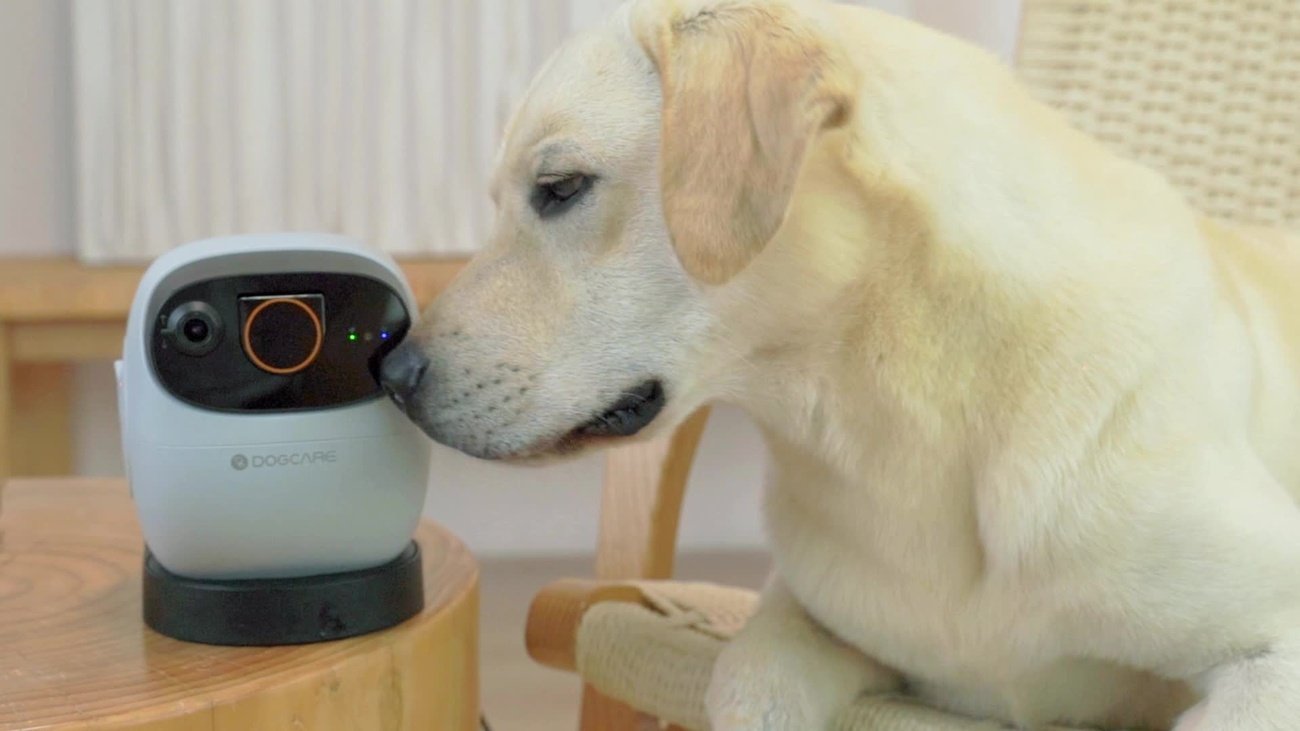 12 Must-Have Dog Gadgets That Actually Work in 2025