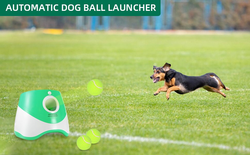 12 Must-Have Dog Gadgets That Actually Work in 2025