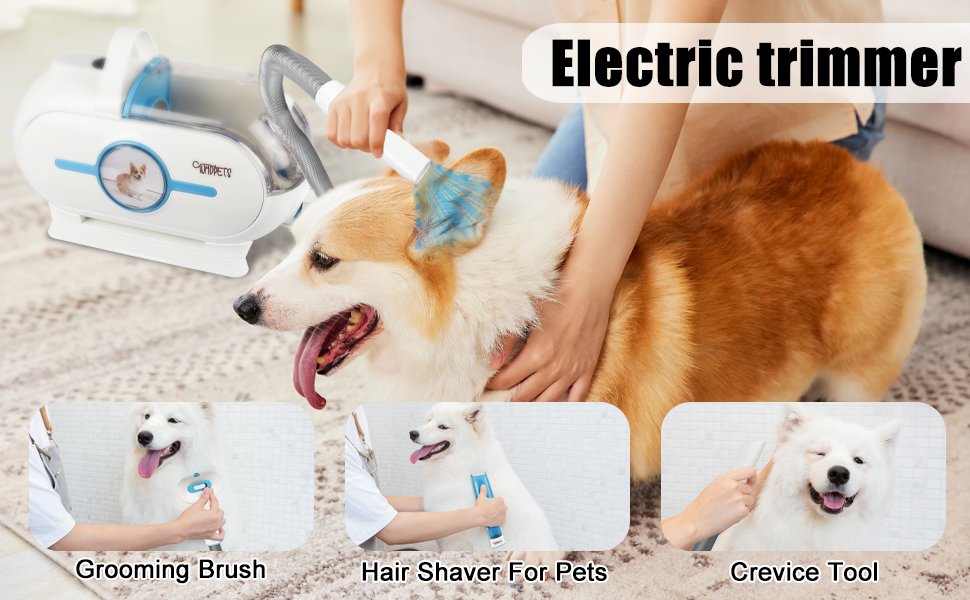 12 Must-Have Dog Gadgets That Actually Work in 2025