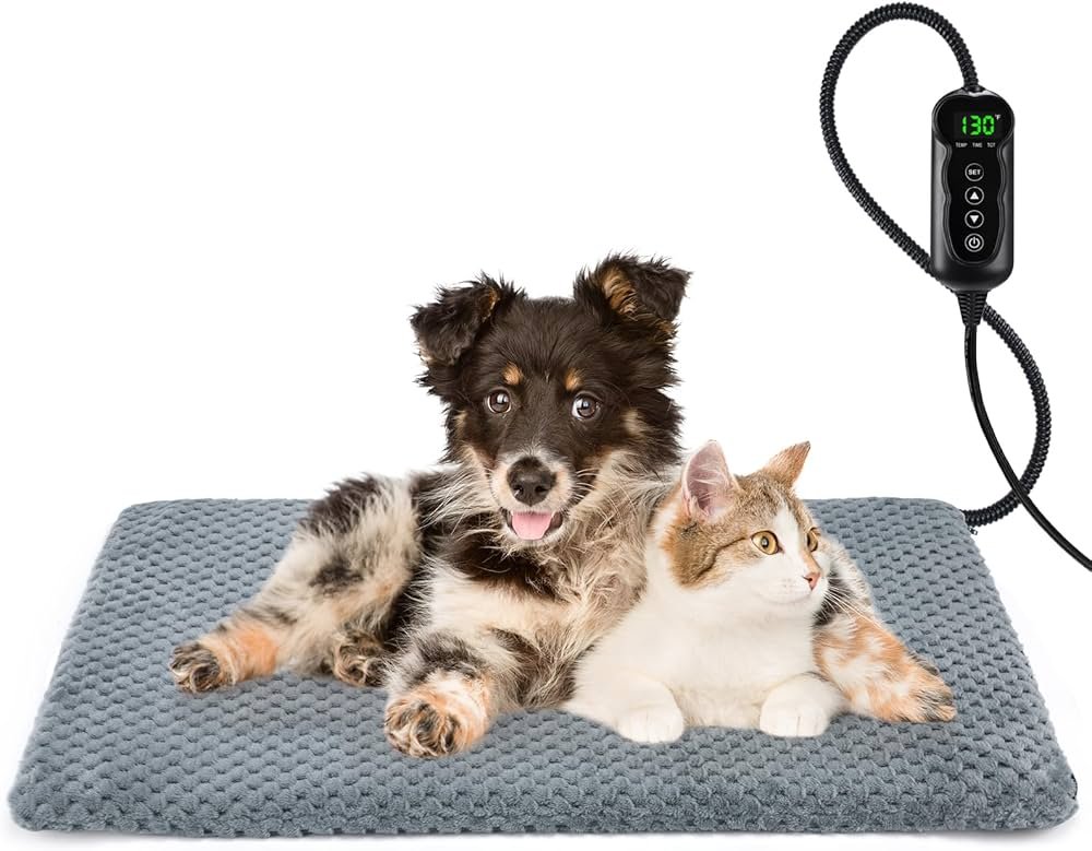 12 Must-Have Dog Gadgets That Actually Work in 2025